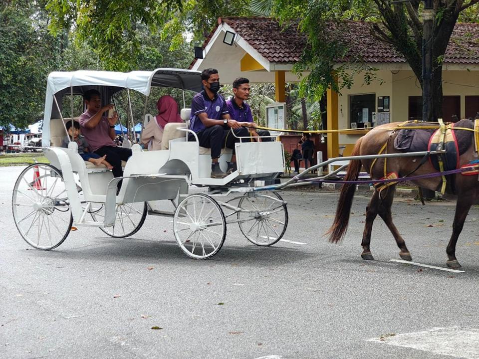 Terengganu Equestrian Resort Куала-Тренгану Екстер'єр фото